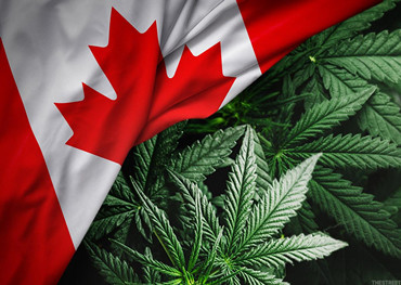 Canadian Cannabis Market