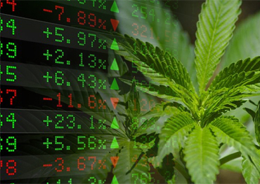 Cannabis Packaging American Cannabis Stocks Extended Big 2020 Gains by Soaring 23% in January 2021