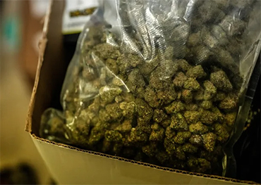 NYC Council bill would require Adams administration to regularly disclose weed enforcement data